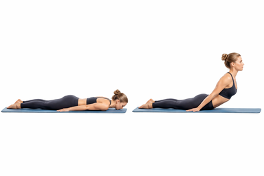 Prone Back Extension